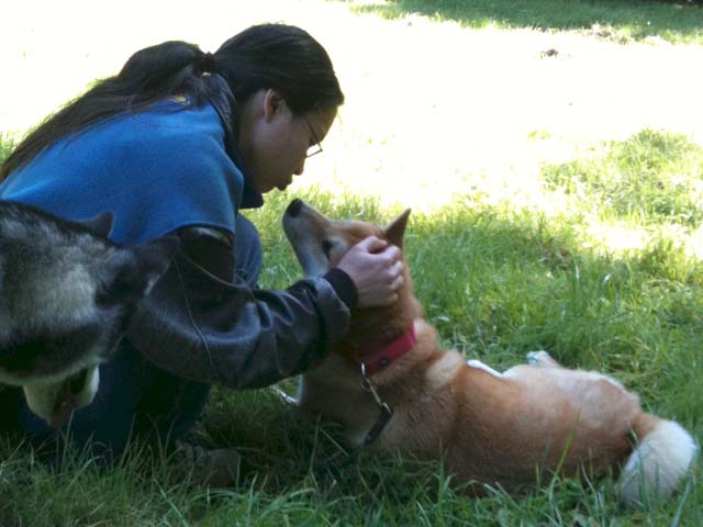 Hug Dog - Dos and Don'ts