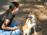 Do Dogs Want to Please Us?