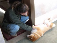 My own 2-legs have gotten a lot calmer since then. I am a good 2-legs trainer.