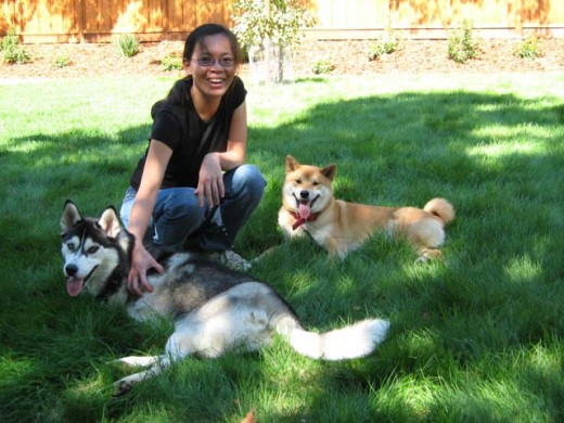 My dogs help me stay connected to the world around me, and provide me with a fun and sometimes very demanding activity, to take my mind away from my troubles.