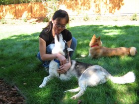 Reward based dog discipline results in a dog licking your face rather than biting it.