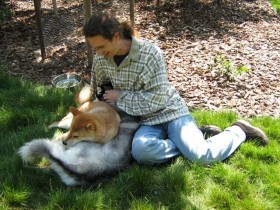 A good dog and human bond.