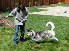 A cooperative relationship that is fun and rewarding.