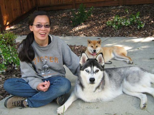 Dog Psychology - I use reward dog training and only reward dog training because they are much more effective than the aversive methods I have tried.