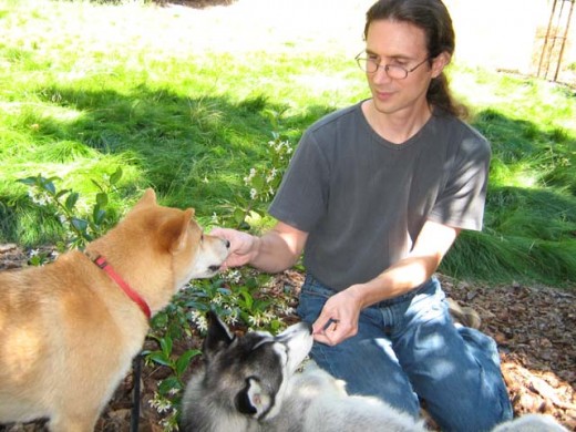 Dog Psychology vs. Dog Training?
