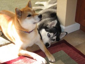 You talkin' to me?!