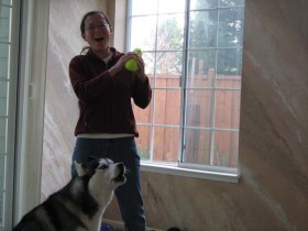 Squeaky toy and Siberian Husky Shania singing.