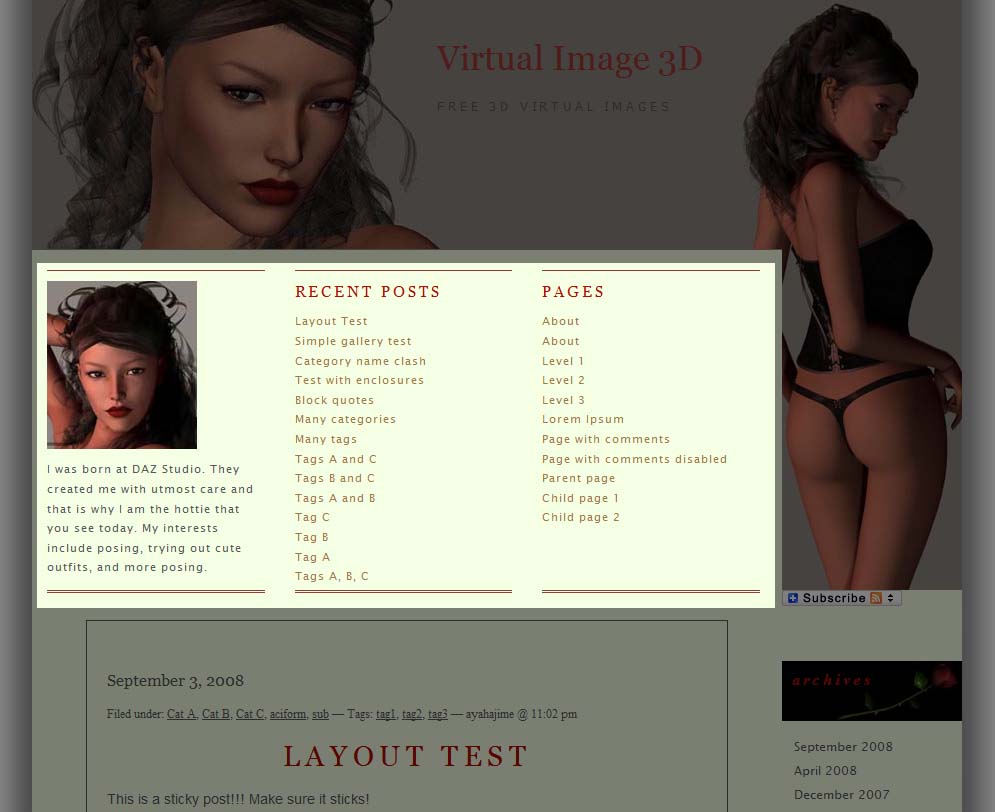 screen-shot-widget2