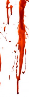 <a href="http://shibashake.com/wordpress-theme/wp-content/uploads/2010/01/BloodBottom3.jpg" target="_top">BloodBottom3</a>
