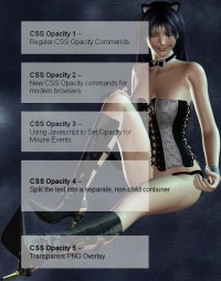 css-opacity2-explorer.jpg [shiba_thumb]