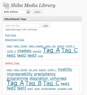 <a href="http://shibashake.com/wordpress-theme/media-library-plugin-2-4" target="_top">Media Library Plugin 2.4</a>