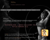 shiba-custom-theme10