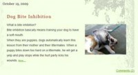 wordpress-excerpt2.jpg [shiba_thumb]