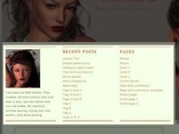wordpress-widget2b.jpg [shiba_thumb]