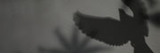 <a href="http://shibashake.com/wordpress-theme/wp-content/uploads/2010/06/Dark_Bishonen_Button4.jpg" target="_top">Dark_Bishonen_Button4</a>