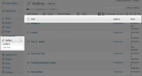 New gallery custom post type menu items and Edit screen.