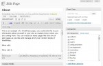 Added Tag and Category Metabox to our WordPress Page.