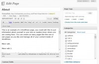 Added Tag and Category Metabox to our WordPress Page.